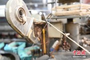 八字正缘小蚕虫变身“产业龙”，广西这座小城如何实现“破茧重生”？