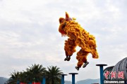 八字正缘（文化中国行）壮乡狮舞闯南洋：脚踏“云桩” 饮誉海内外